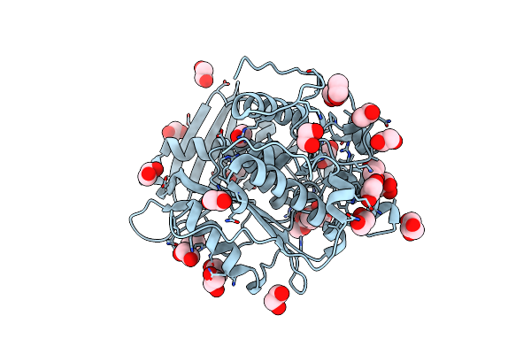 4G4J image
