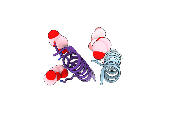 4G4M image