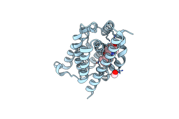 4G7L image