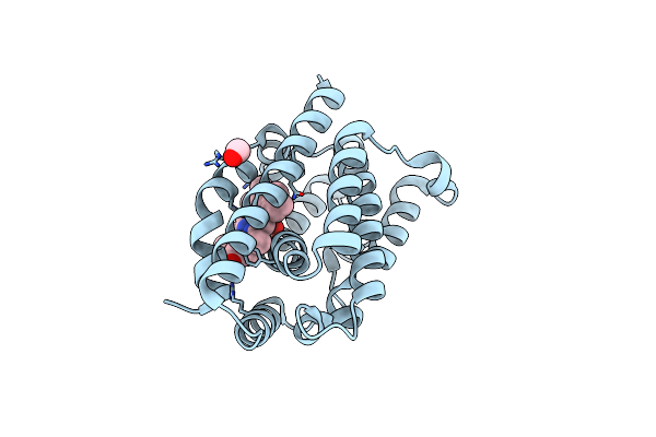 4G7T image