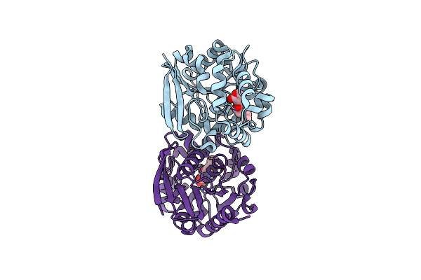 4G8B image