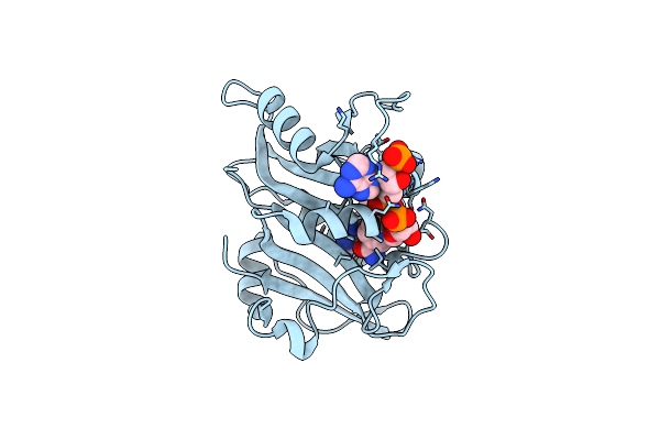 4G8Z image
