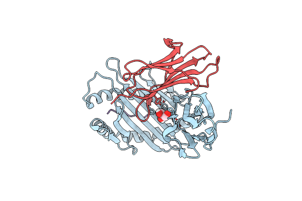 4G9D image