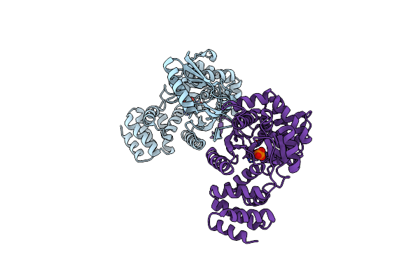 4GA4 image