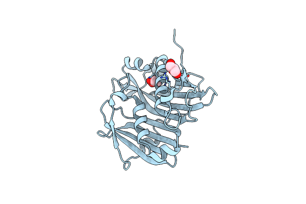 4GAK image