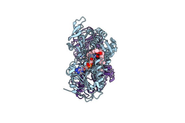 4GAV image