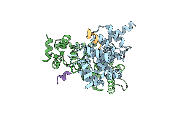 4GBA image