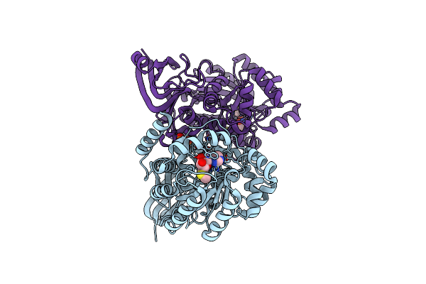 4GBD image