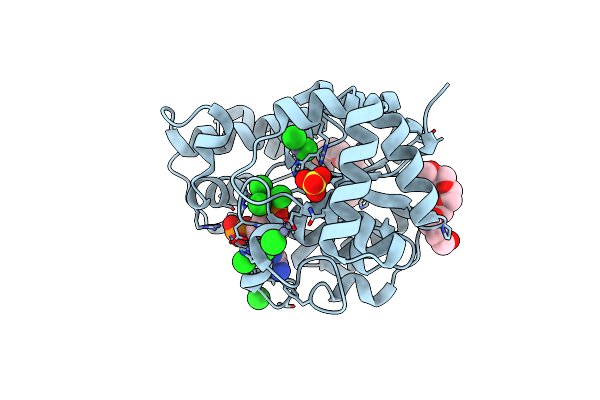 4GBM image