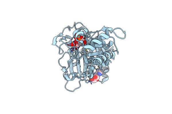 4GBW image
