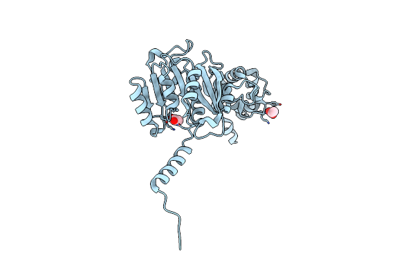 4GC5 image