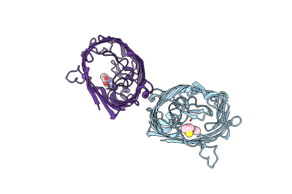 4GCS image