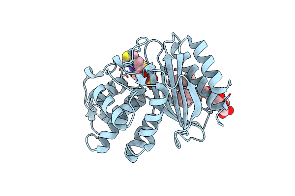 4GDB image