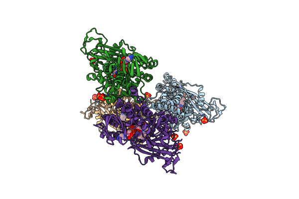 4GDE image