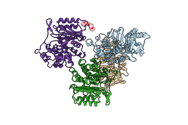 4GDN image