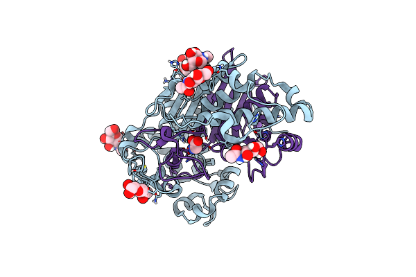 4GDX image