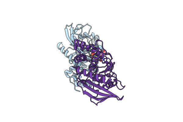 4GE2 image