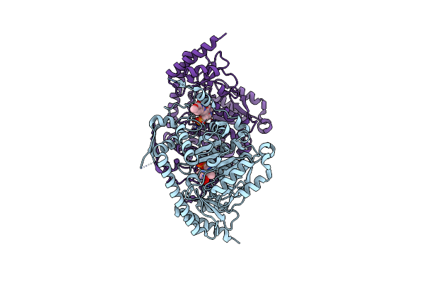 4GE4 image