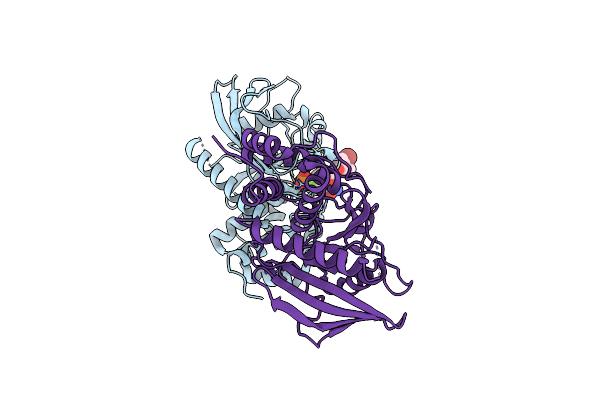 4GE5 image