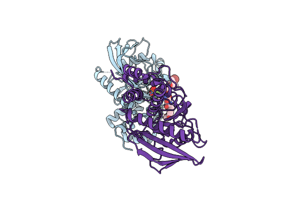 4GE6 image