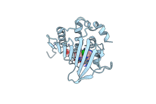 4GEE image