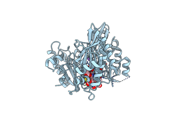 4GEP image