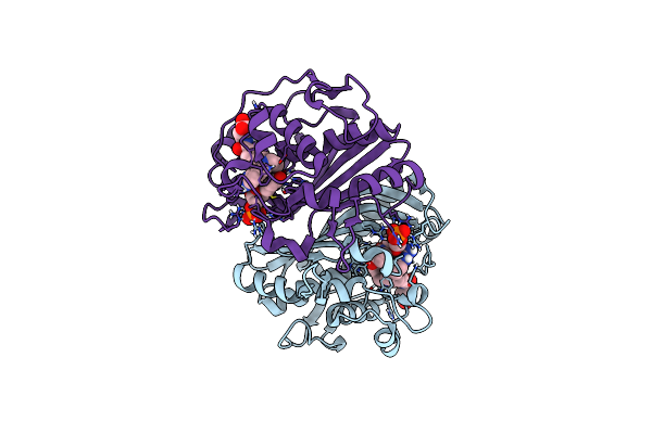 4GEV image