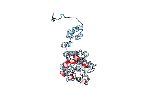 4GEW image