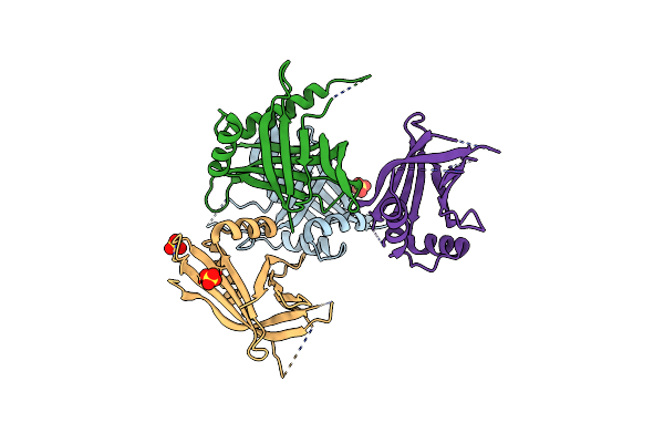 4GEX image