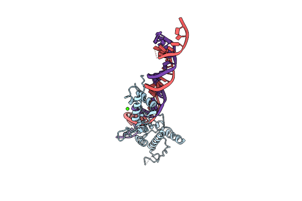 4GFB image