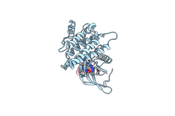 4GFG image