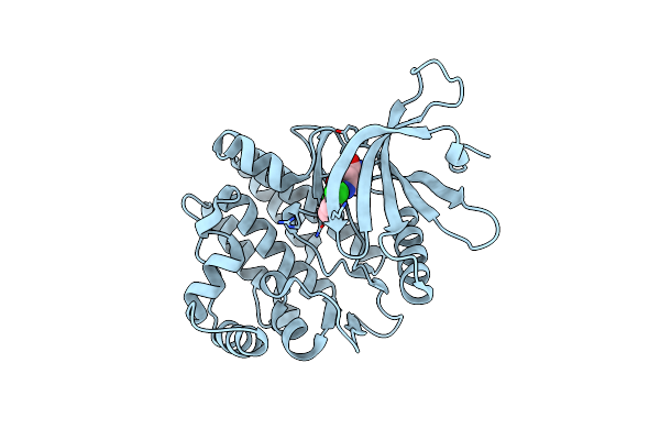 4GFM image