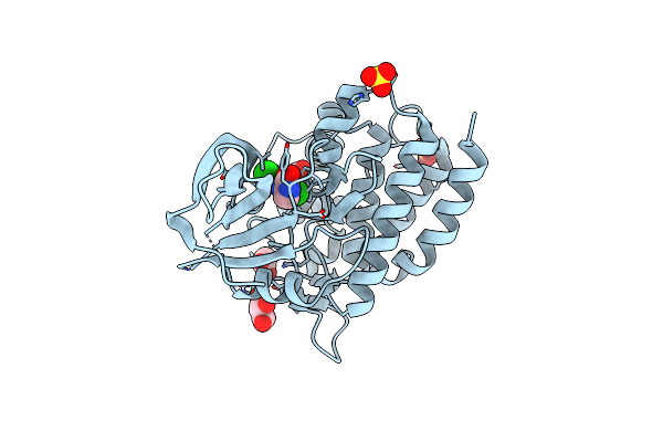 4GFO image