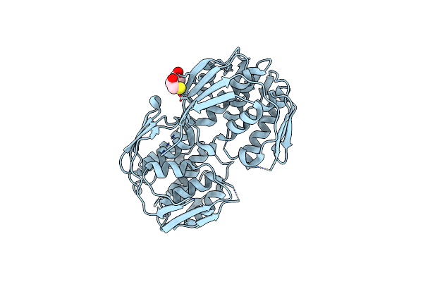 4GFP image