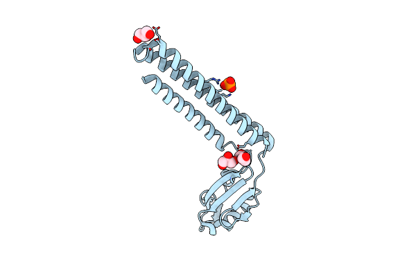 4GFQ image