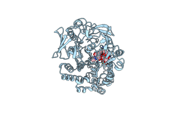 4GFR image