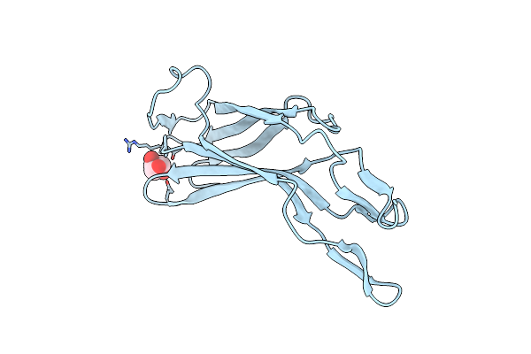 4GFX image