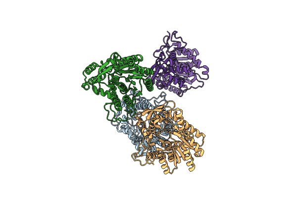 4GGP image