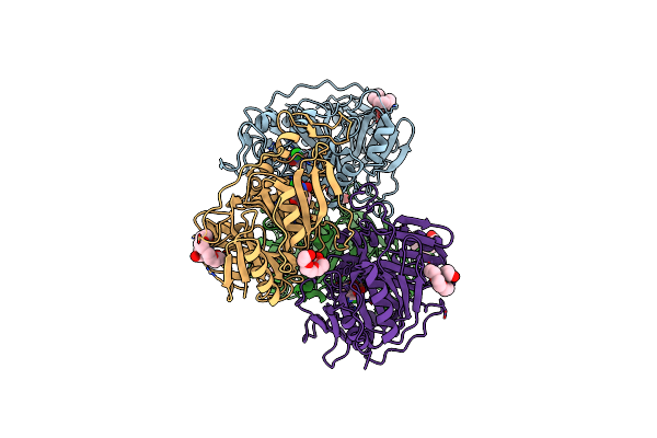 4GHF image
