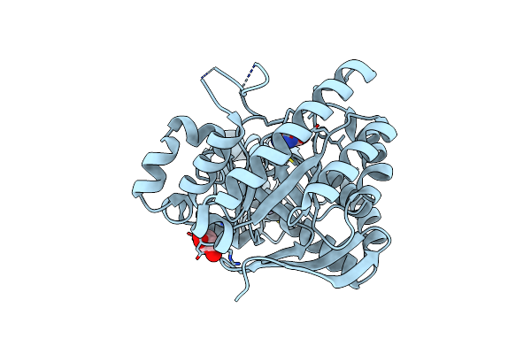 4GHR image