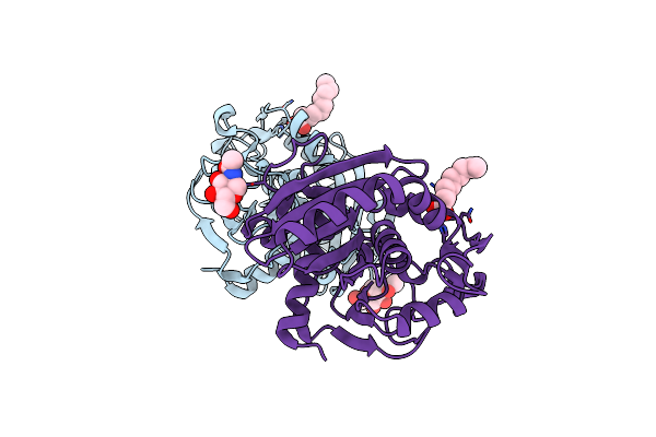 4GHW image