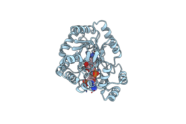 4GIE image