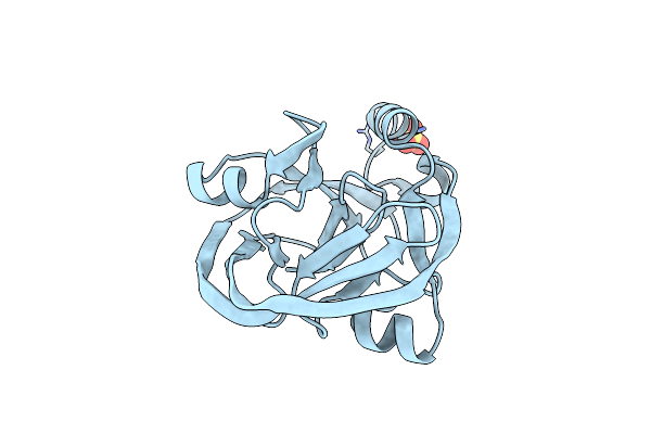 4GIG image
