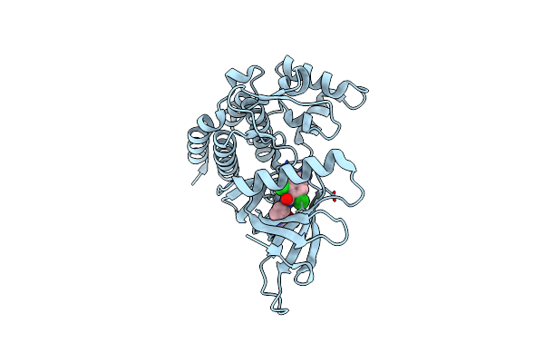 4GII image