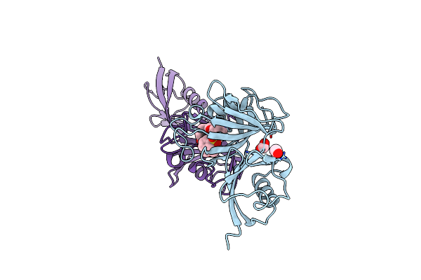 4GIV image