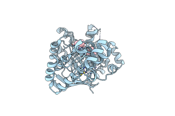4GIY image