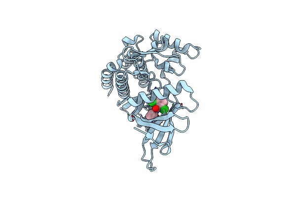 4GJ2 image