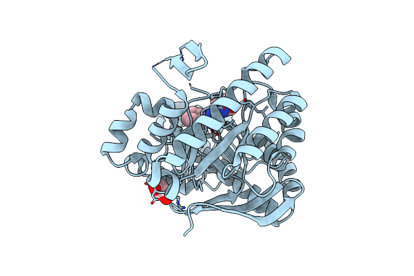 4GKT image