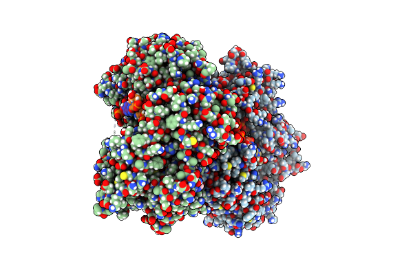 4GL2 image