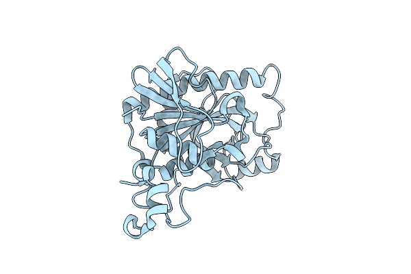 4GLF image